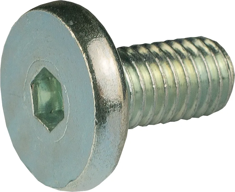 Vijak AS-FH 8x16 SET 001343505
